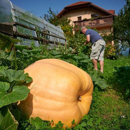 류브노 Tourist Farm Kolar 빌라 외부 사진