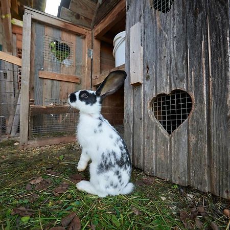 류브노 Tourist Farm Kolar 빌라 외부 사진