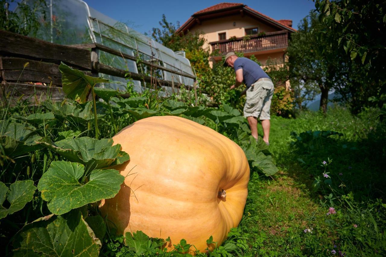 류브노 Tourist Farm Kolar 빌라 외부 사진